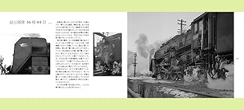 8192zhhp+FL._UF350,350_QL80_.jpg